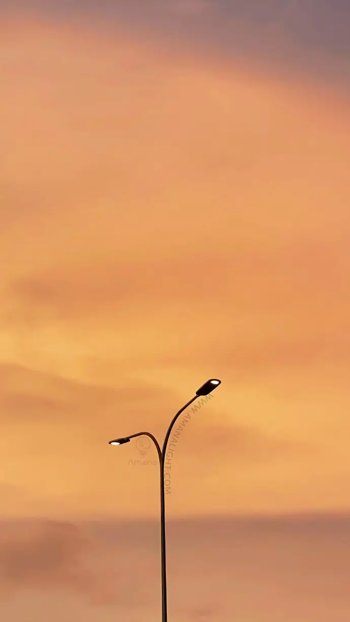 Twin-arm decorative street light pole at dusk with LED fixtures – perfect for residential and municipal lighting.