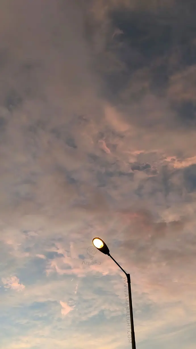 Classic single-arm street light pole with LED fixture – ideal for residential streets, highways, and smart city lighting.