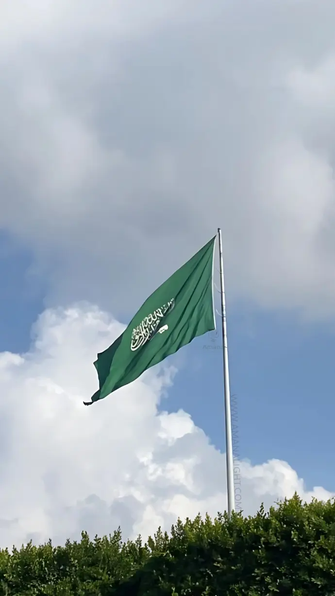 Flag Poles – Durable Outdoor Poles for Flags in Public Spaces, Government Buildings, Commercial Complexes, Parks, and Events. Manufactured from Galvanized Steel or Aluminum, Designed for High Wind Resistance and Easy Maintenance. Available in Various Heights and Customizable for National, Corporate, and Decorative Flags.