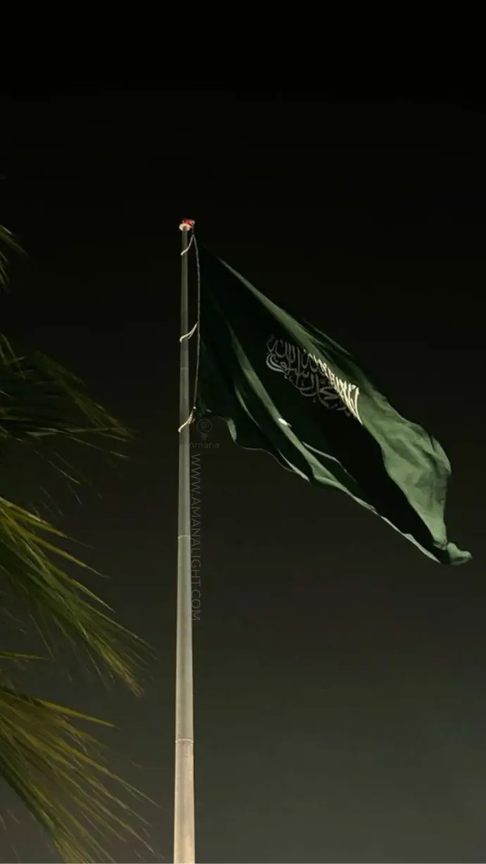 Flag Poles – Durable Outdoor Poles for Flags in Public Spaces, Government Buildings, Commercial Complexes, Parks, and Events. Manufactured from Galvanized Steel or Aluminum, Designed for High Wind Resistance and Easy Maintenance. Available in Various Heights and Customizable for National, Corporate, and Decorative Flags.